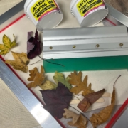 a flat lay of screen printing with leaves
